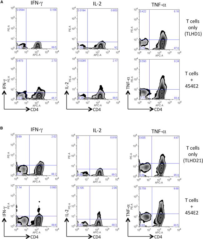 HLA-DR Antibody in Flow Cytometry (Flow)