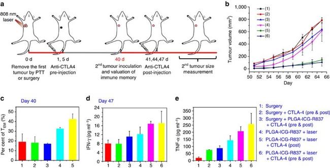 CD8a Antibody in Flow Cytometry (Flow)