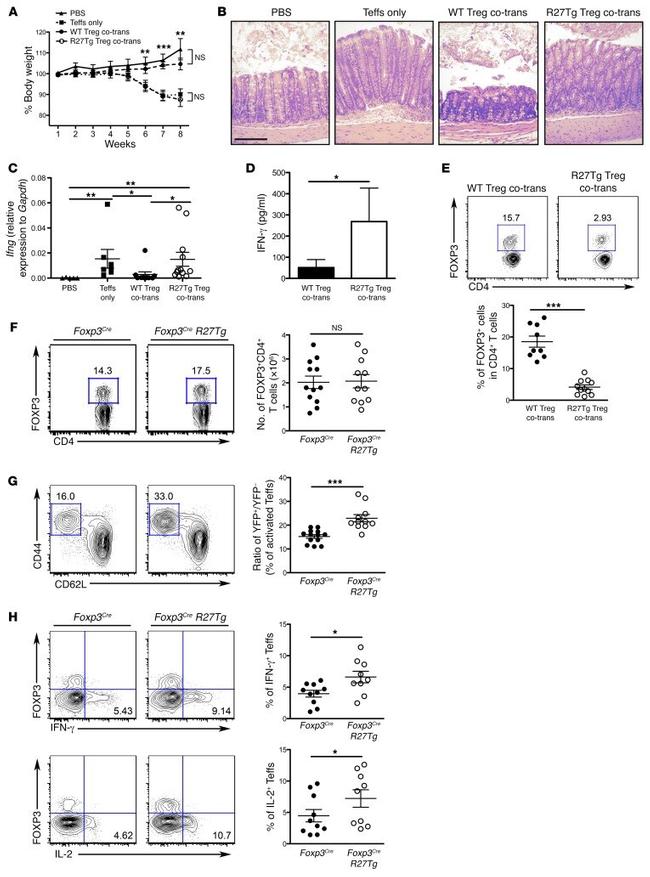 CD62L (L-Selectin) Antibody in Flow Cytometry (Flow)