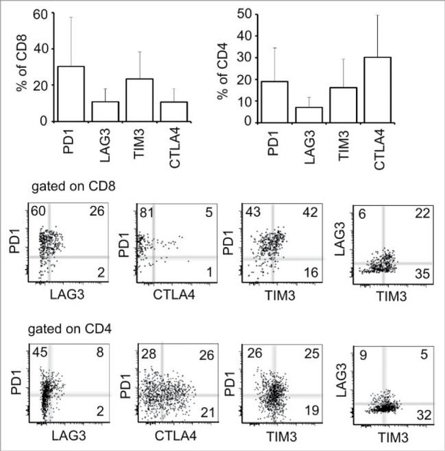 CD366 (TIM3) Antibody in Flow Cytometry (Flow)