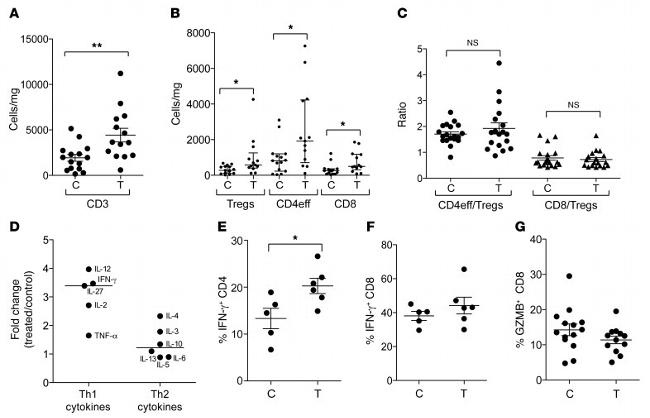 CD3e Antibody in Flow Cytometry (Flow)