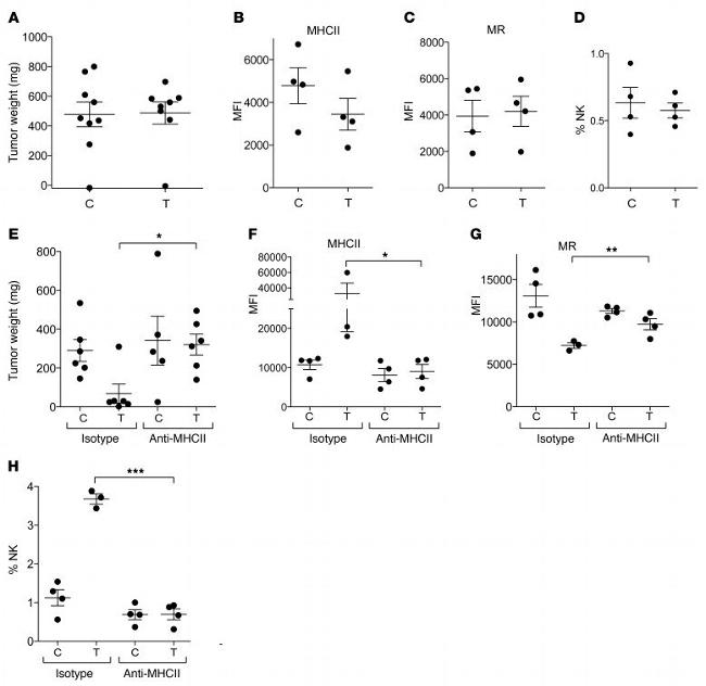 CD3e Antibody in Flow Cytometry (Flow)