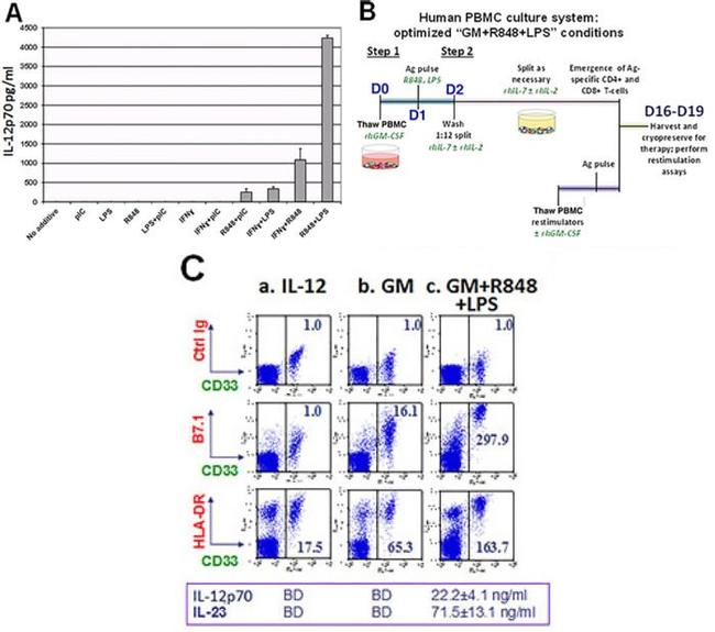 HLA-DR Antibody in Flow Cytometry (Flow)