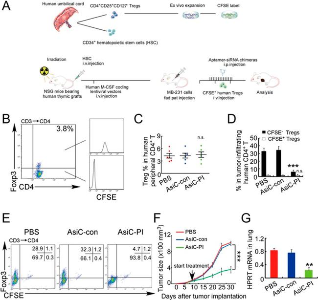 CD4 Antibody in Flow Cytometry (Flow)