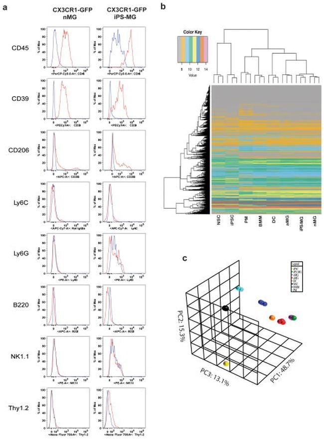 CD39 Antibody in Flow Cytometry (Flow)