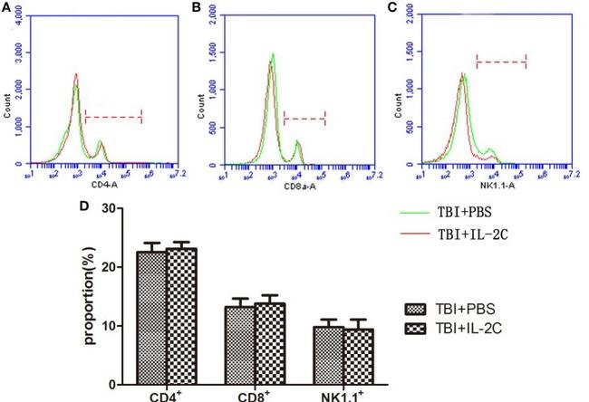 NK1.1 Antibody in Flow Cytometry (Flow)