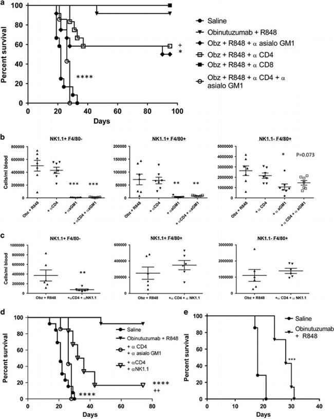 NK1.1 Antibody in Flow Cytometry (Flow)