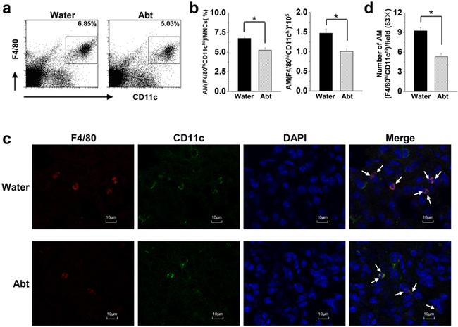 CD11c Antibody in Flow Cytometry (Flow)