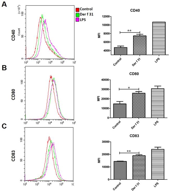 CD83 Antibody in Flow Cytometry (Flow)