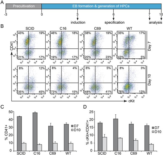 CD117 (c-Kit) Antibody in Flow Cytometry (Flow)