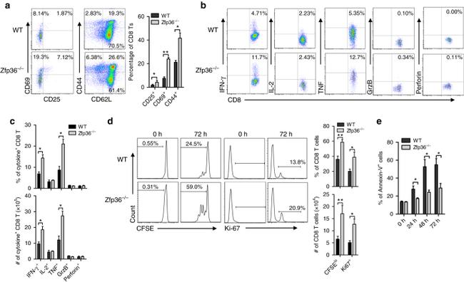 CD8a Antibody in Flow Cytometry (Flow)