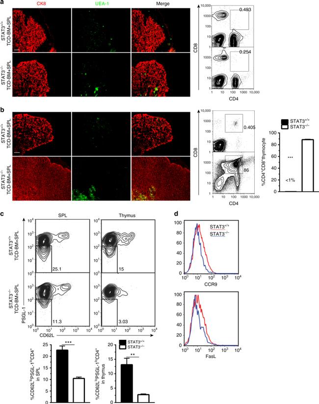 CD62L (L-Selectin) Antibody in Flow Cytometry (Flow)