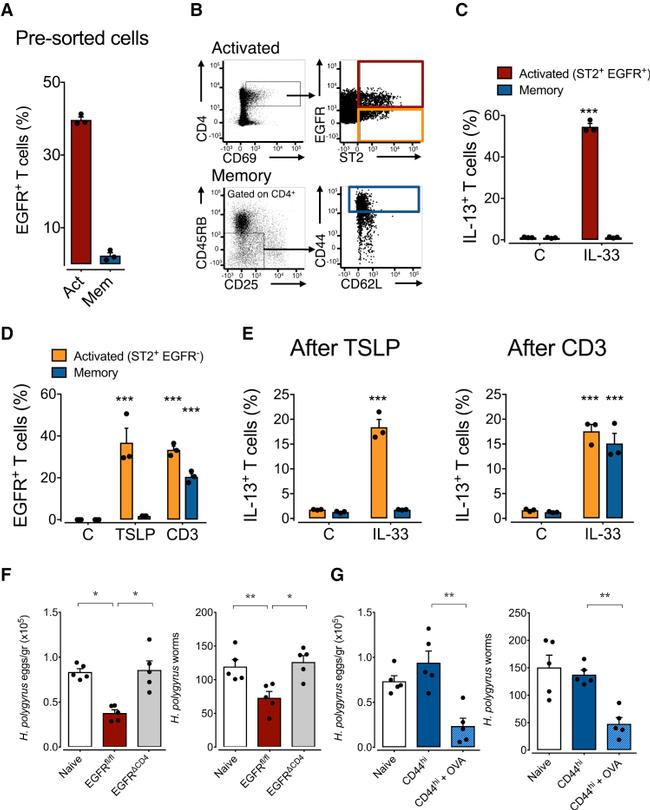 IL-13 Antibody in Flow Cytometry (Flow)