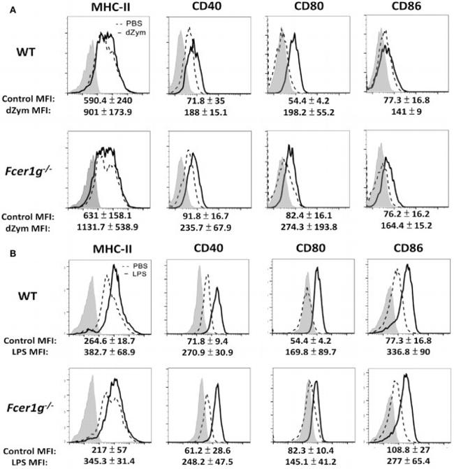 CD86 (B7-2) Antibody in Flow Cytometry (Flow)