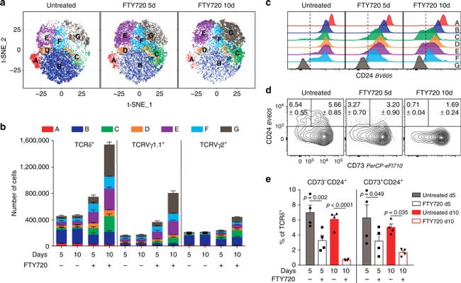 CD73 Antibody in Flow Cytometry (Flow)