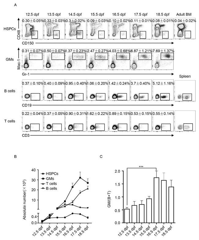 Ly-6G/Ly-6C Antibody in Flow Cytometry (Flow)