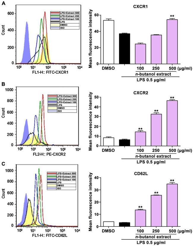 CD62L (L-Selectin) Antibody in Flow Cytometry (Flow)