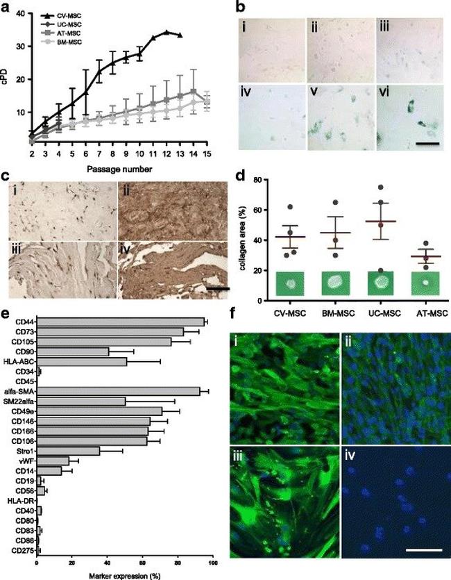 HLA-DR Antibody in Flow Cytometry (Flow)