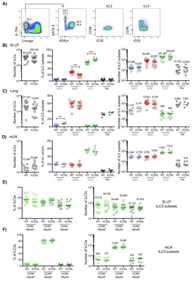 Gata-3 Antibody in Flow Cytometry (Flow)