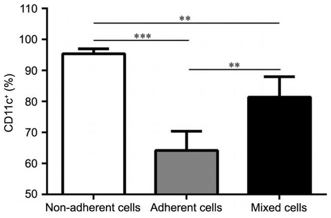 CD11c Antibody in Flow Cytometry (Flow)