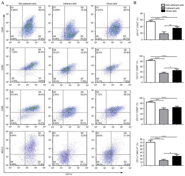 CD11c Antibody in Flow Cytometry (Flow)