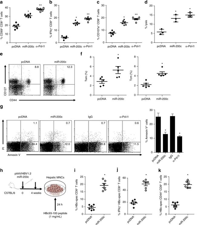 CD69 Antibody in Flow Cytometry (Flow)