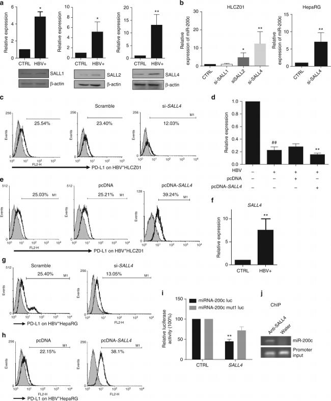 CD274 (PD-L1, B7-H1) Antibody in Flow Cytometry (Flow)