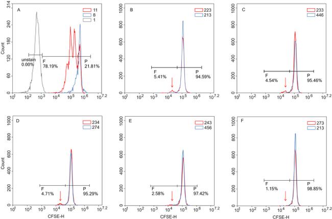 CD3 Antibody in Flow Cytometry (Flow)