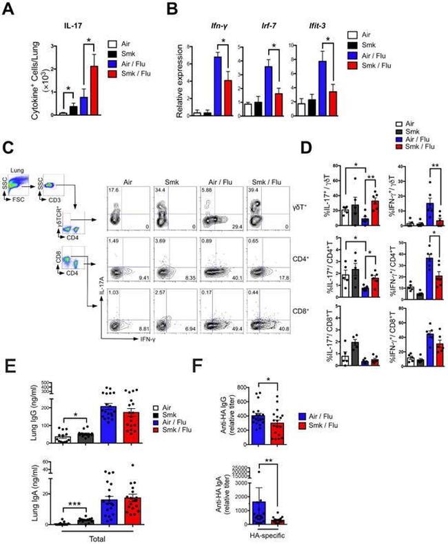 TCR gamma/delta Antibody in Flow Cytometry (Flow)