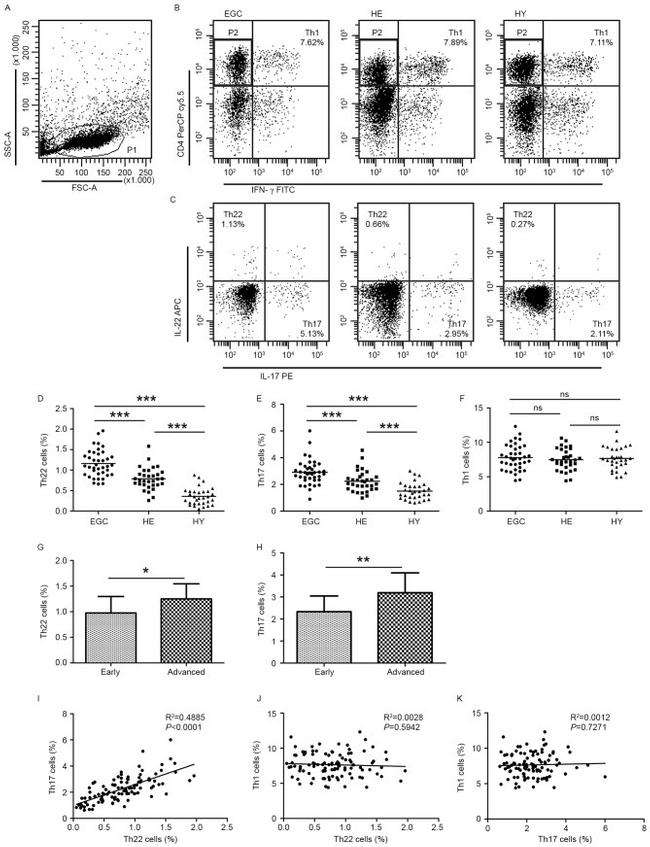 IL-17A Antibody in Flow Cytometry (Flow)