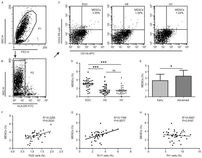 CD11b Antibody in Flow Cytometry (Flow)