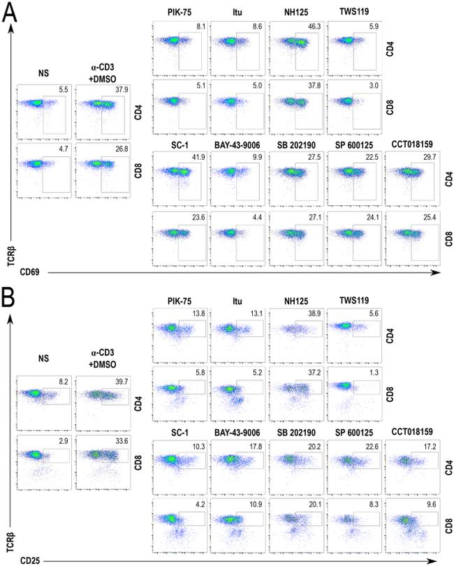 CD69 Antibody in Flow Cytometry (Flow)