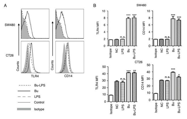 CD14 Antibody in Flow Cytometry (Flow)