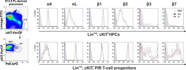 CD19 Antibody in Flow Cytometry (Flow)