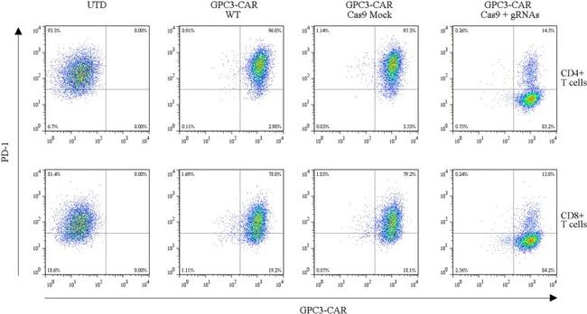 CD3 Antibody in Flow Cytometry (Flow)