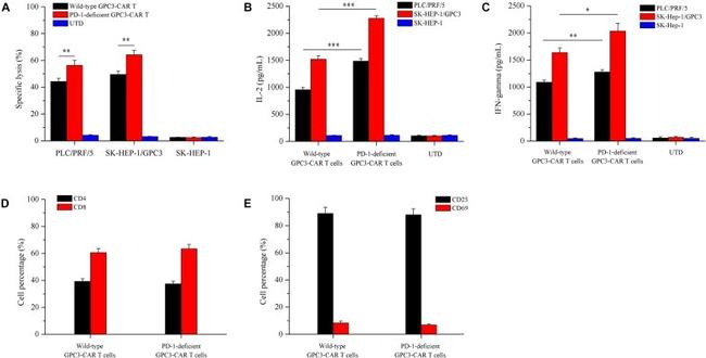 CD8a Antibody in Flow Cytometry (Flow)