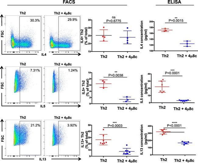 IL-13 Antibody in Flow Cytometry (Flow)