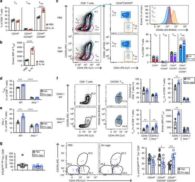 CD62L (L-Selectin) Antibody in Flow Cytometry (Flow)