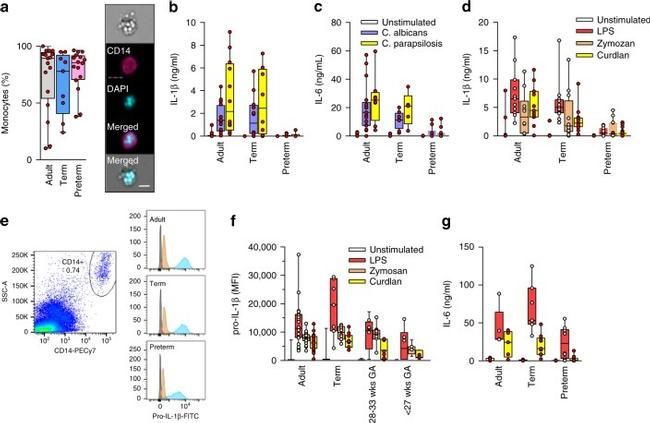 CD14 Antibody in Flow Cytometry (Flow)