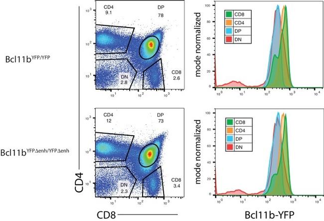 CD8a Antibody in Flow Cytometry (Flow)