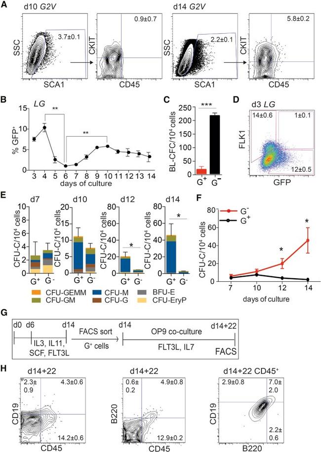 CD19 Antibody in Flow Cytometry (Flow)