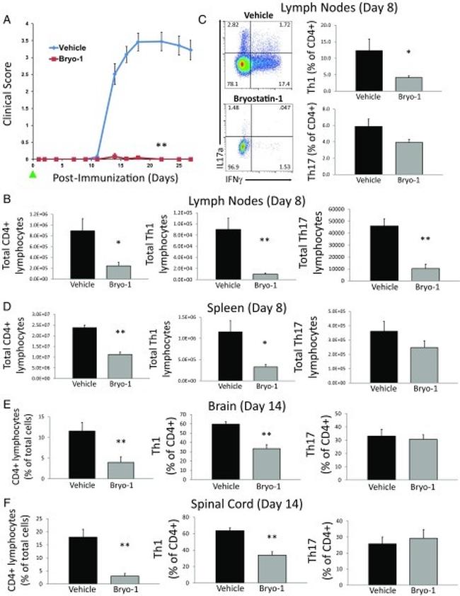 IL-17A Antibody in Flow Cytometry (Flow)