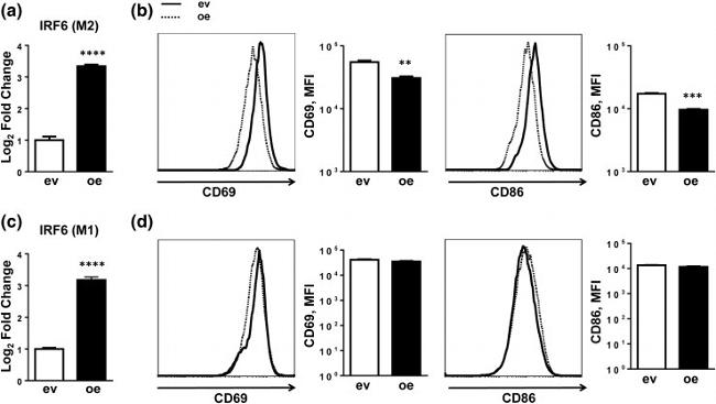 CD69 Antibody in Flow Cytometry (Flow)