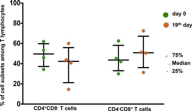 CD4 Antibody in Flow Cytometry (Flow)