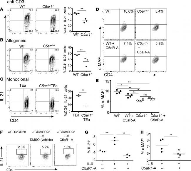 CD62L (L-Selectin) Antibody in Flow Cytometry (Flow)