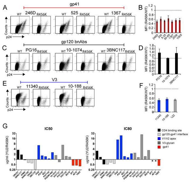 CD4 Antibody in Flow Cytometry (Flow)