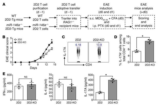 IL-17A Antibody in Flow Cytometry (Flow)