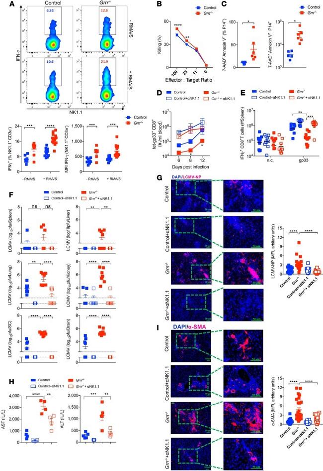 NK1.1 Antibody in Flow Cytometry (Flow)