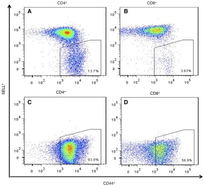 CD4 Antibody in Flow Cytometry (Flow)