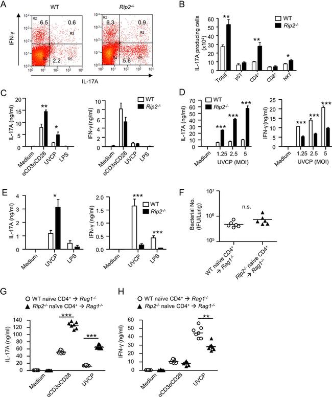 CD4 Antibody in Flow Cytometry (Flow)